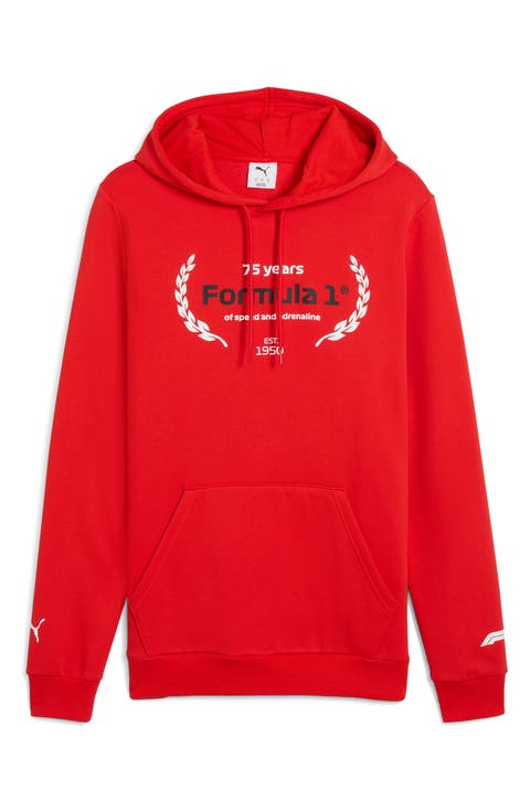 Formula 1® Essential Logo Graphic Hoodie