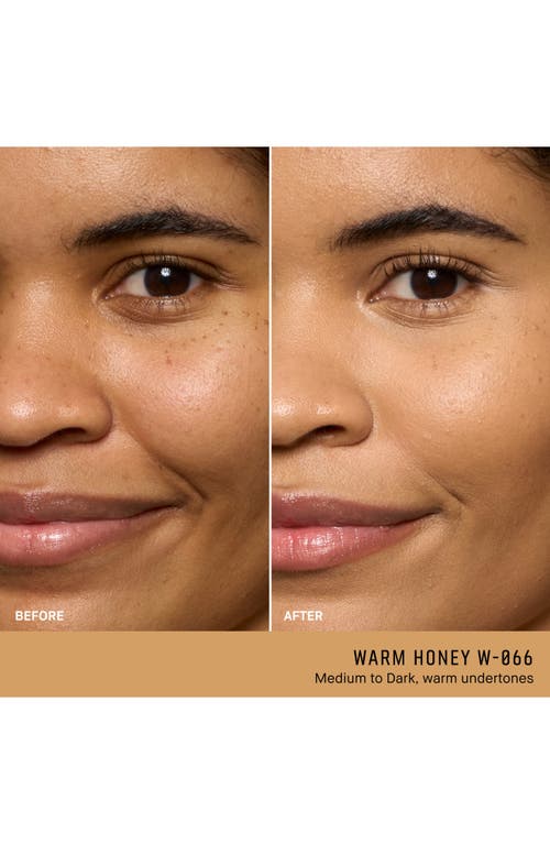 Bobbi Brown Weightless Skin Oil-controlling Foundation Spf 15 With Hyaluronic Acid In Brown