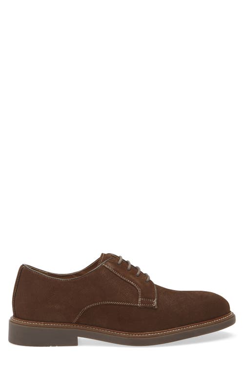 Steve Madden Almaty Derby In Brown