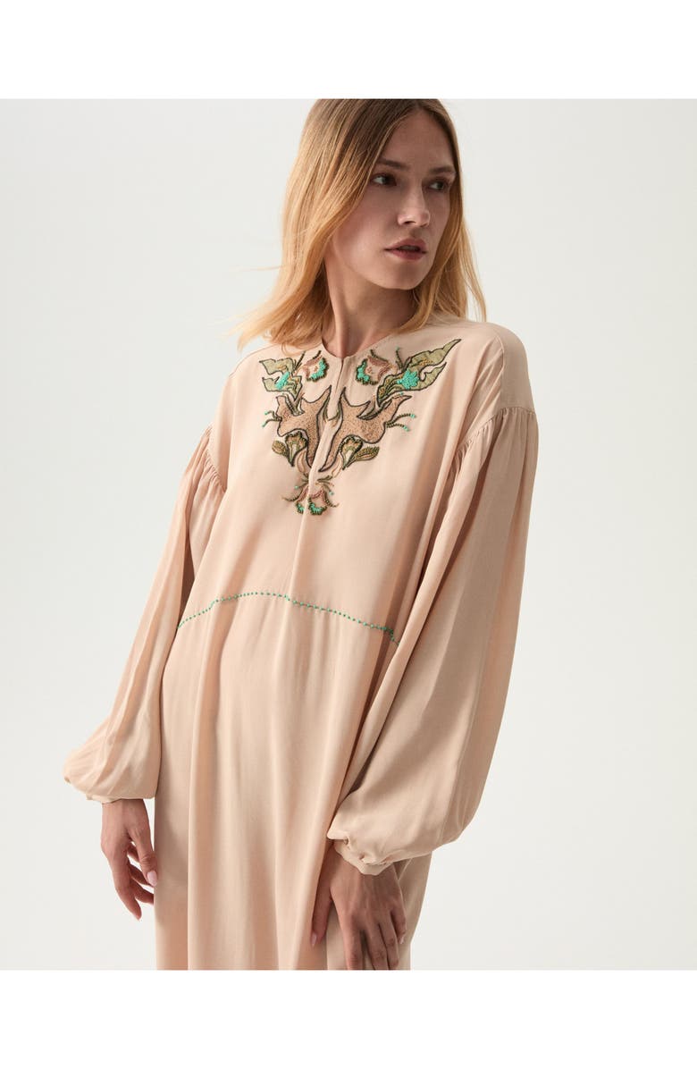 Fortela Allegra Embroidered Silk Dress, Alternate, color, Beige