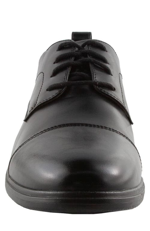 DEER STAGS DEER STAGS SIENNA DERBY