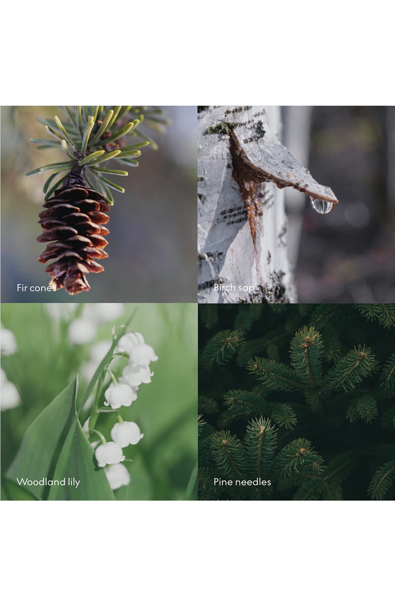 SKANDINAVISK Wash Refill SKOG 1L, Alternate, color, Green