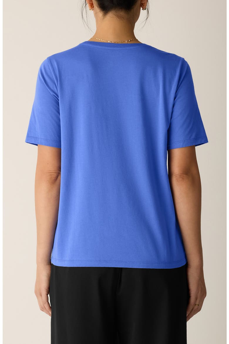 Crewneck Organic Cotton T-Shirt, Alternate, color, BLSTR