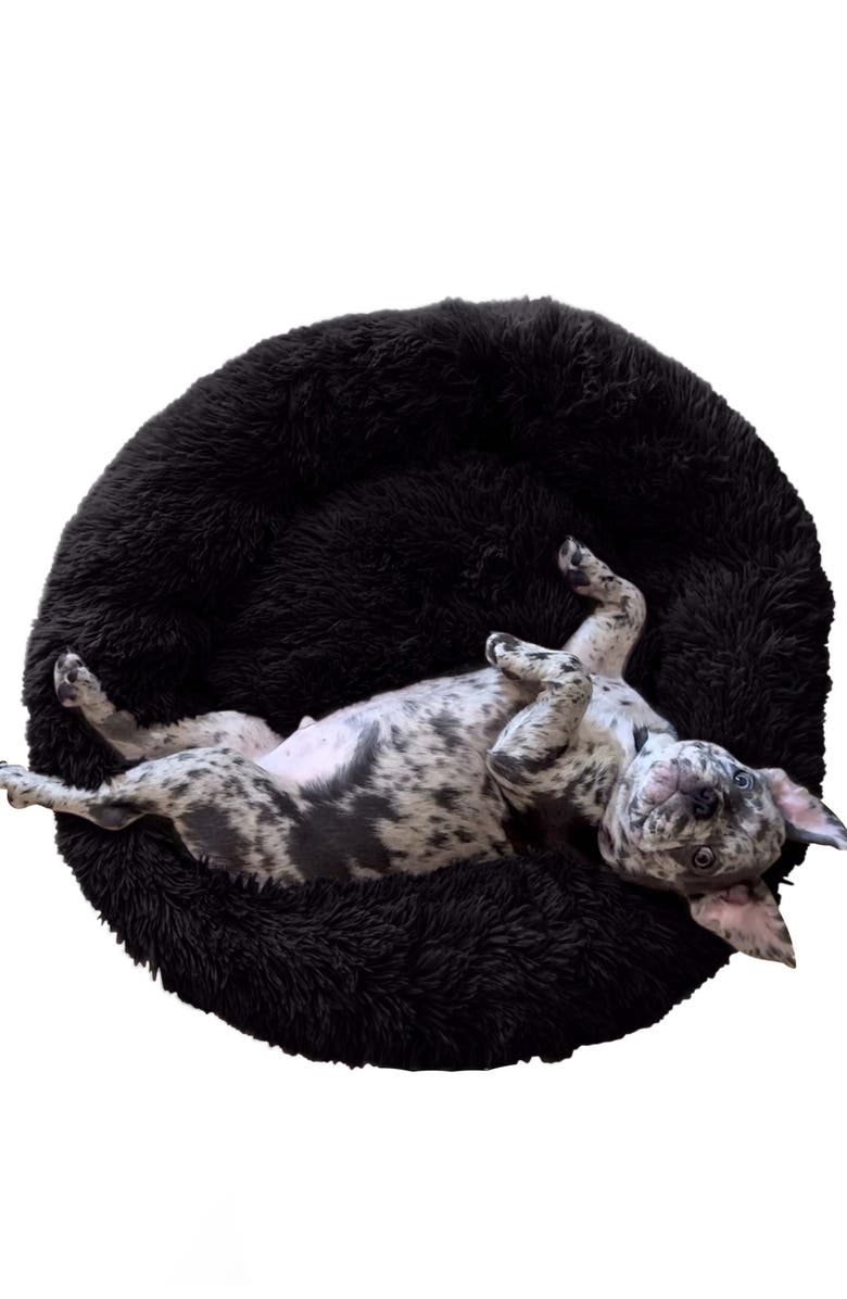 Puppington Pupper Slumber Ultra Calming Anti-Anxiety Pet Bed, Alternate, color, 