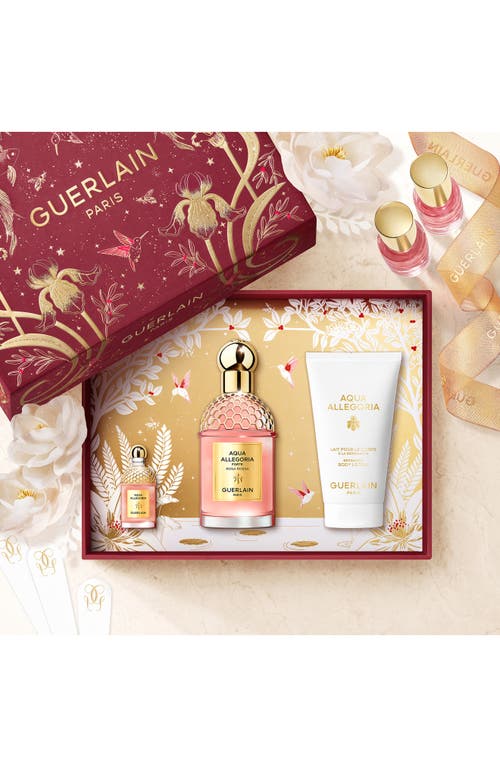 Guerlain Aqua Allegoria Rosa Rossa Forte Eau De Parfum Set $178 Value In Transparent