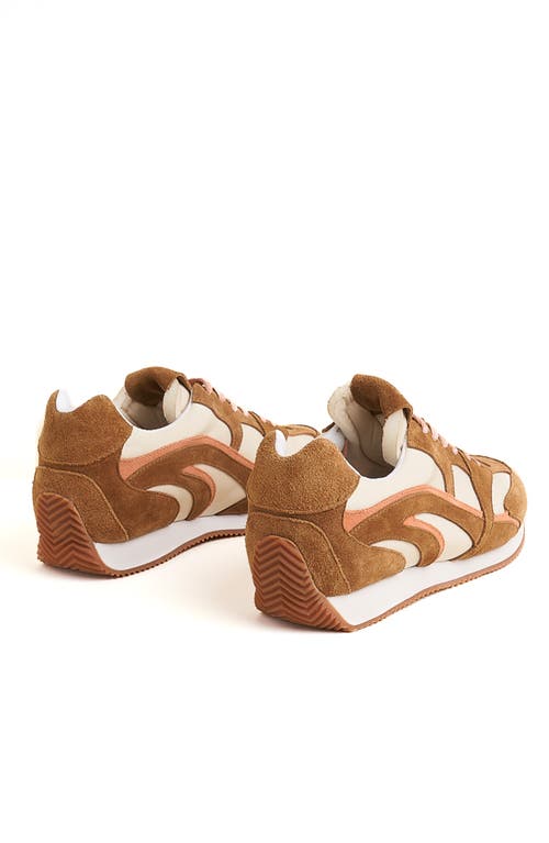 Charlotte Stone Hazel Sneaker In Brown