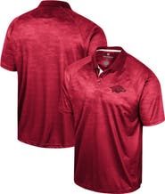 COLOSSEUM Men's Colosseum Cardinal Arkansas Razorbacks Honeycomb Raglan Polo