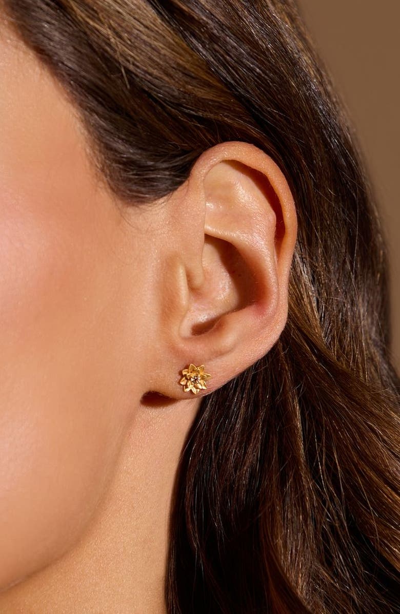 Satya Jewelry Bold Spirit Gold Hoop Earrings, Alternate, color, 