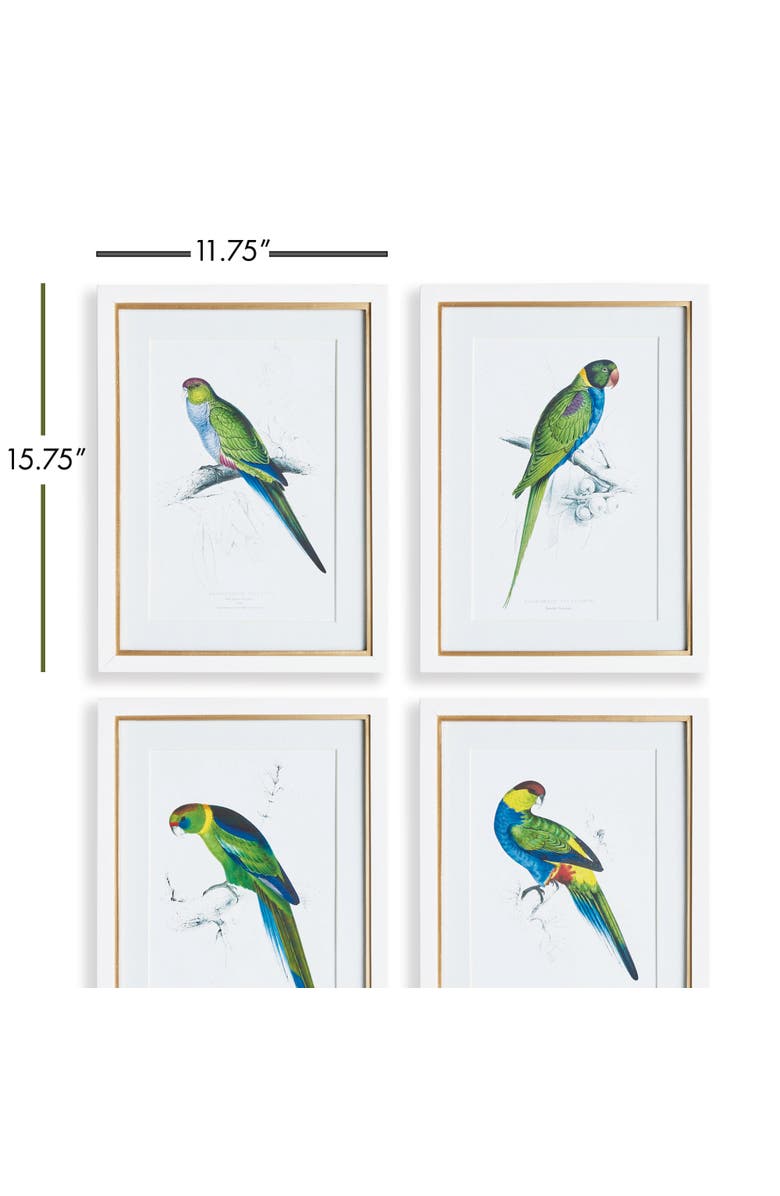 Napa Home & Garden Colorful Parrots Prints St/4, Alternate, color, Green