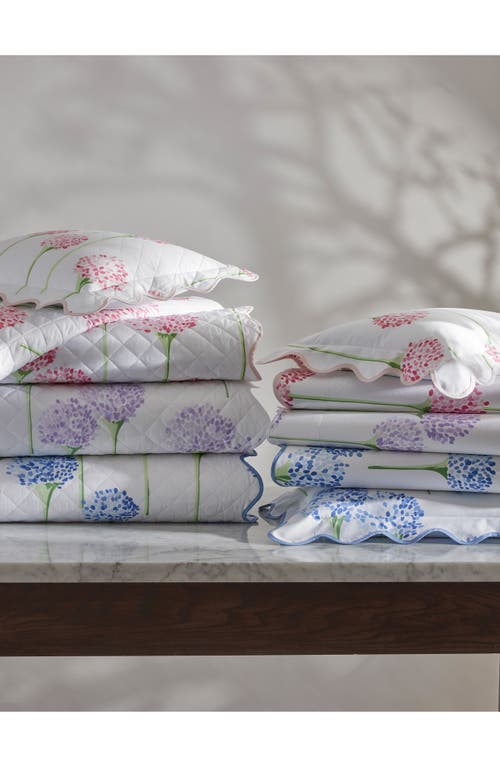 Matouk Floral Quilted Cotton Percale Sham In Peony