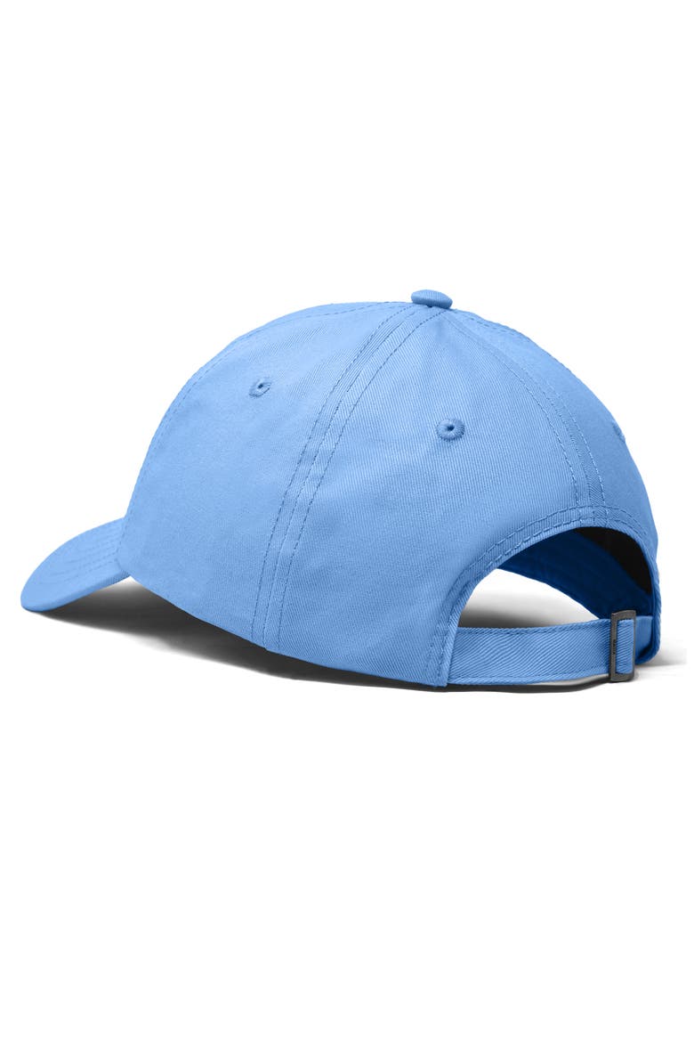 Dumpling Dad Cap, Alternate, color, Light Blue