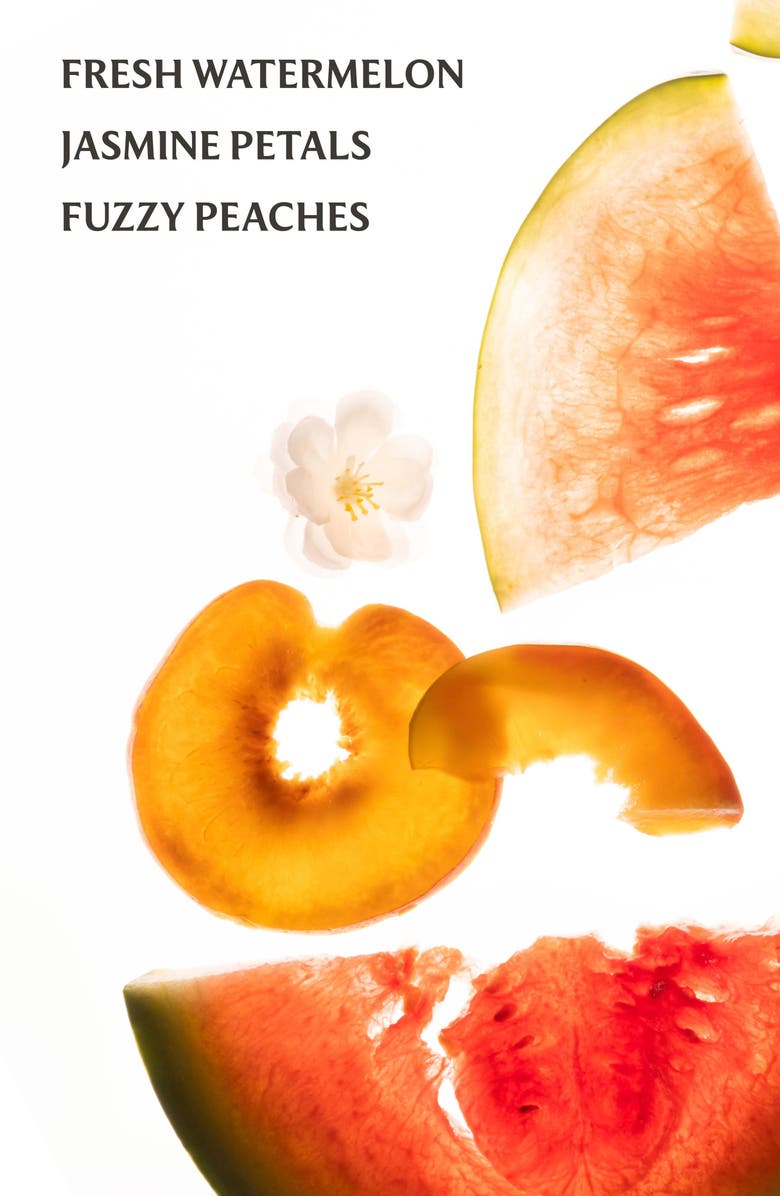 TOUCHLAND x Disney Wild Watermelon Hand Sanitizer & Mickey Mouse Mist Case Set, Alternate, color, Black