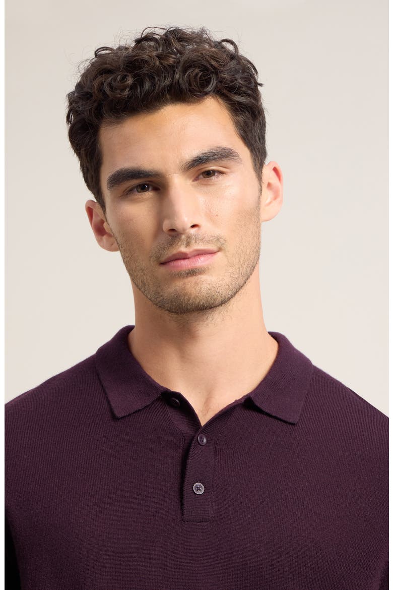 Washable Merino Wool Polo Sweater, Alternate, color, PURPLE PLUM