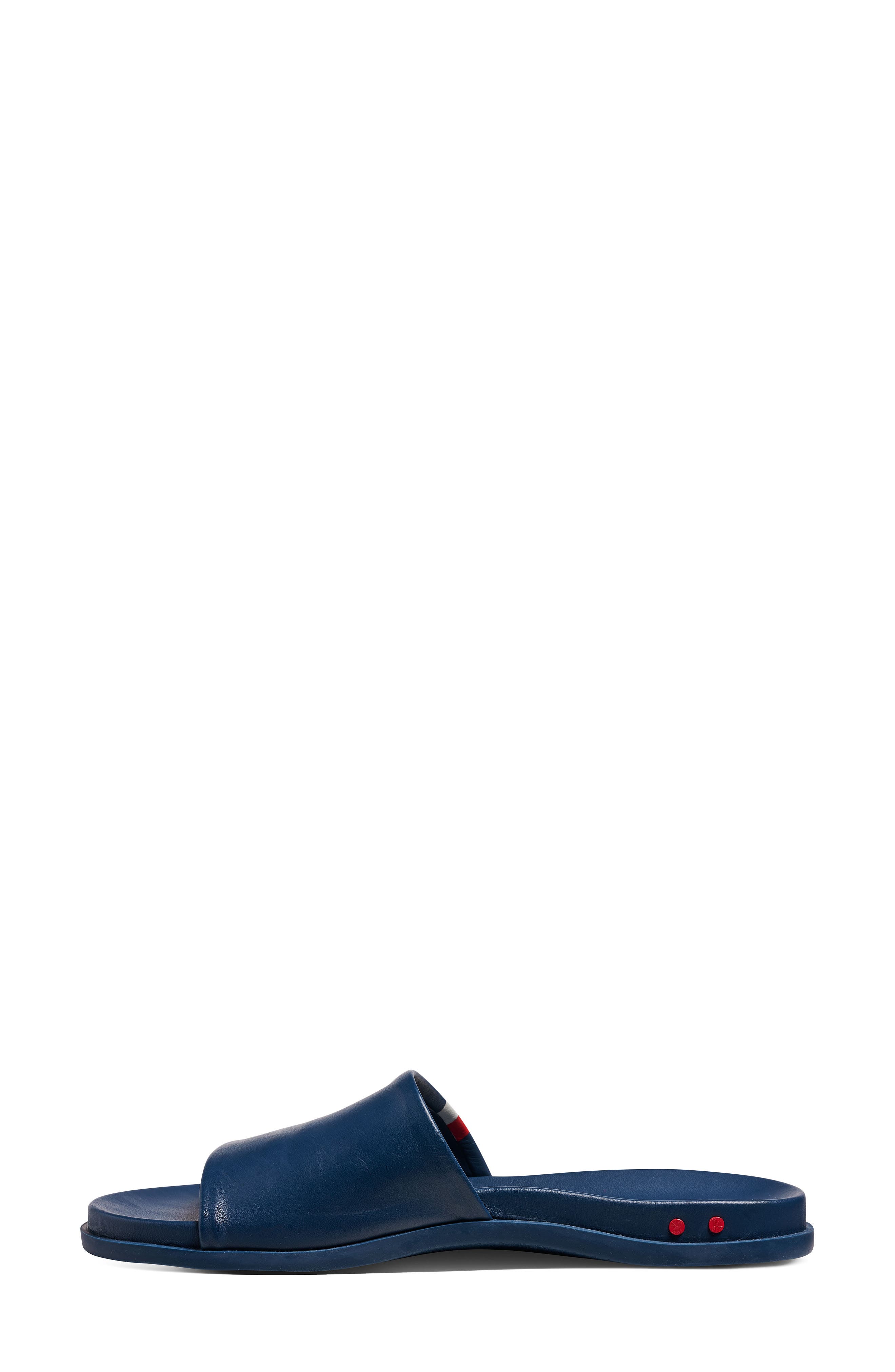 Railibird Slide Sandal, Alternate, color, STRIPE