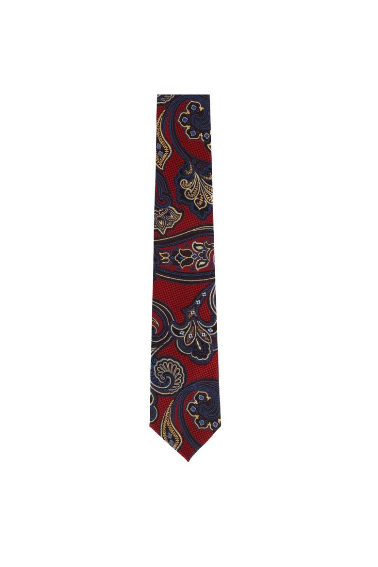 Roman Exploded Paisley Stately Silk Necktie, Alternate, color, Multiple Colors