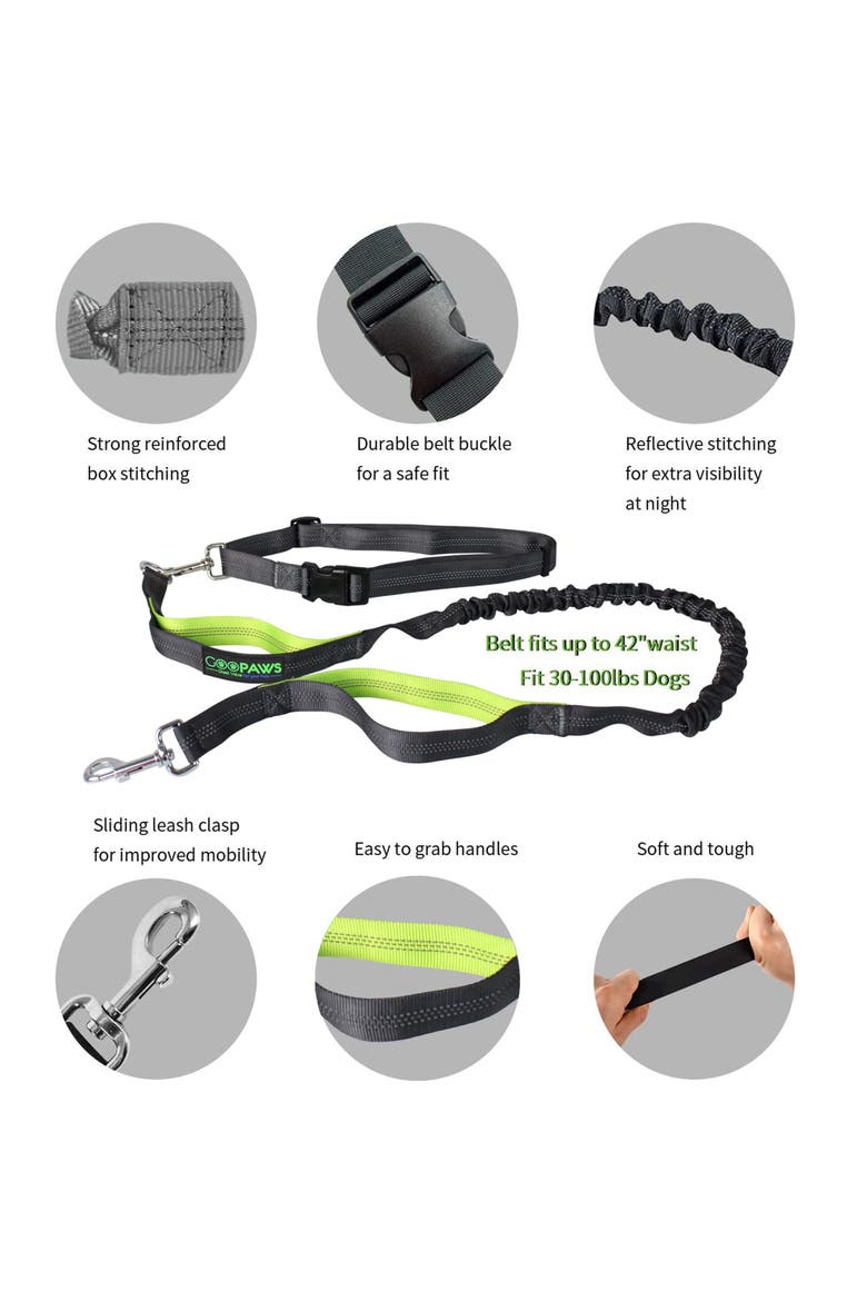 Hands Free Bungee Dog Leash Green, Medlg Dogs, Up To 150Lb, Alternate, color, Green