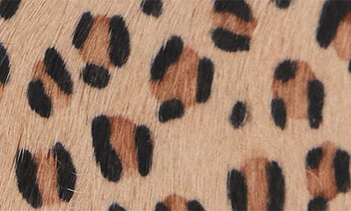 Mango Teen Leopard Genuine Calf Hair Coin Pouch In Brown