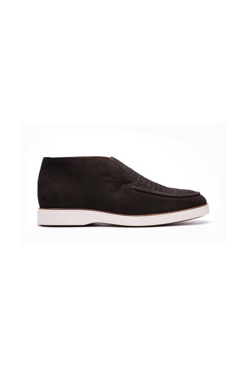 Carlos Santana Joplin Laceless Chukka