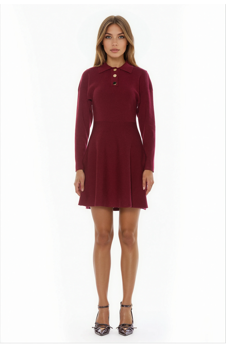 Alexia Admor Ocean Dress, Main, color, Burgundy