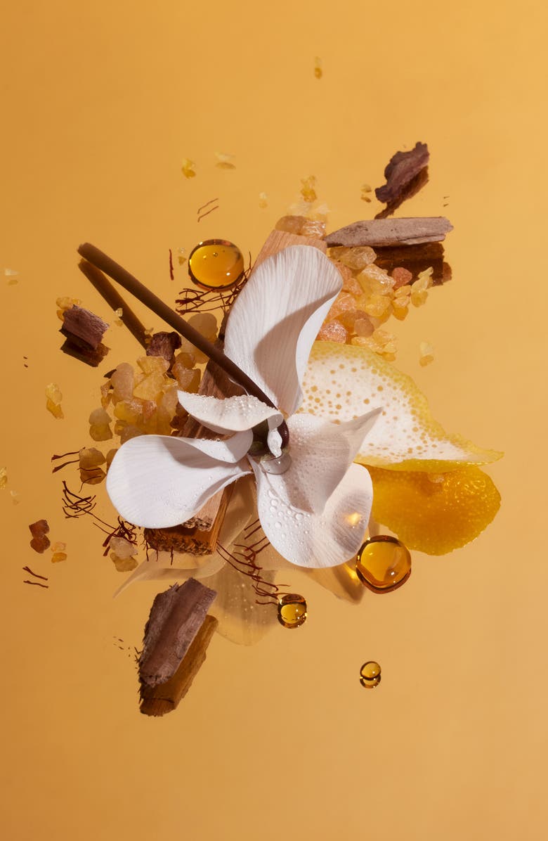 PHLUR Somebody Wood Eau de Parfum, Alternate, color,