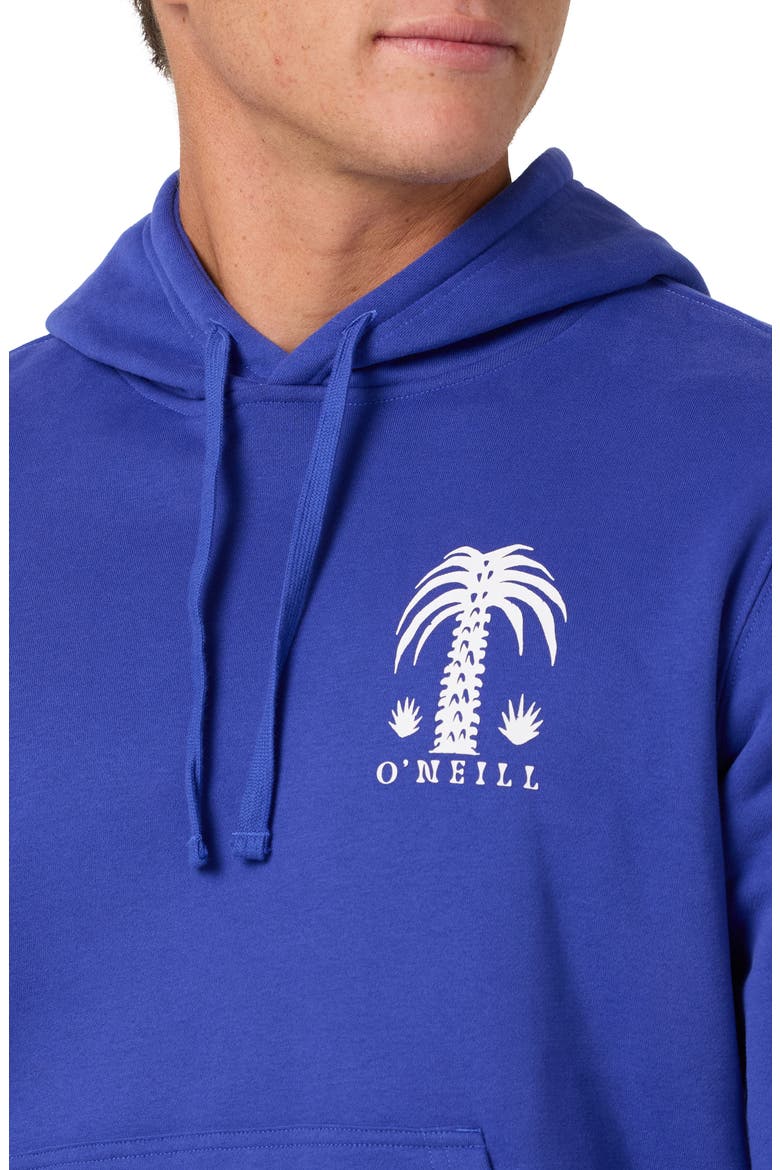 Palm Classics Pullover Hoodie, Alternate, color, ROYAL BLUE