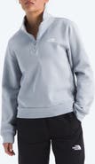 The North Face Evolution Quarter Zip Pullover