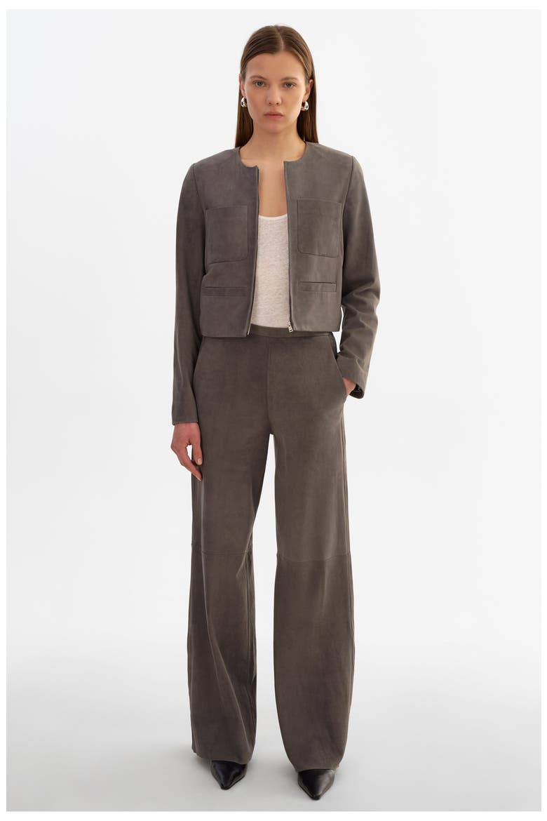 Linette S | Suede Jacket, Alternate, color, Streel Grey