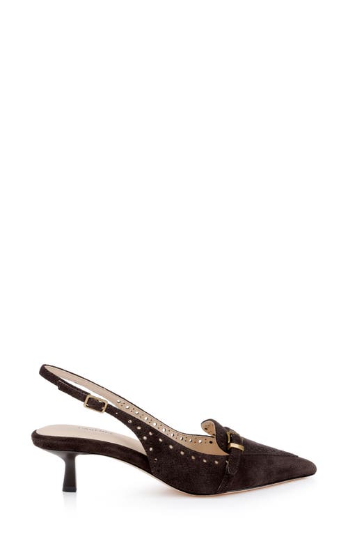 L Agence L'agence Lourdes Slingback Pointed Toe Kitten Heel Pump In Brown