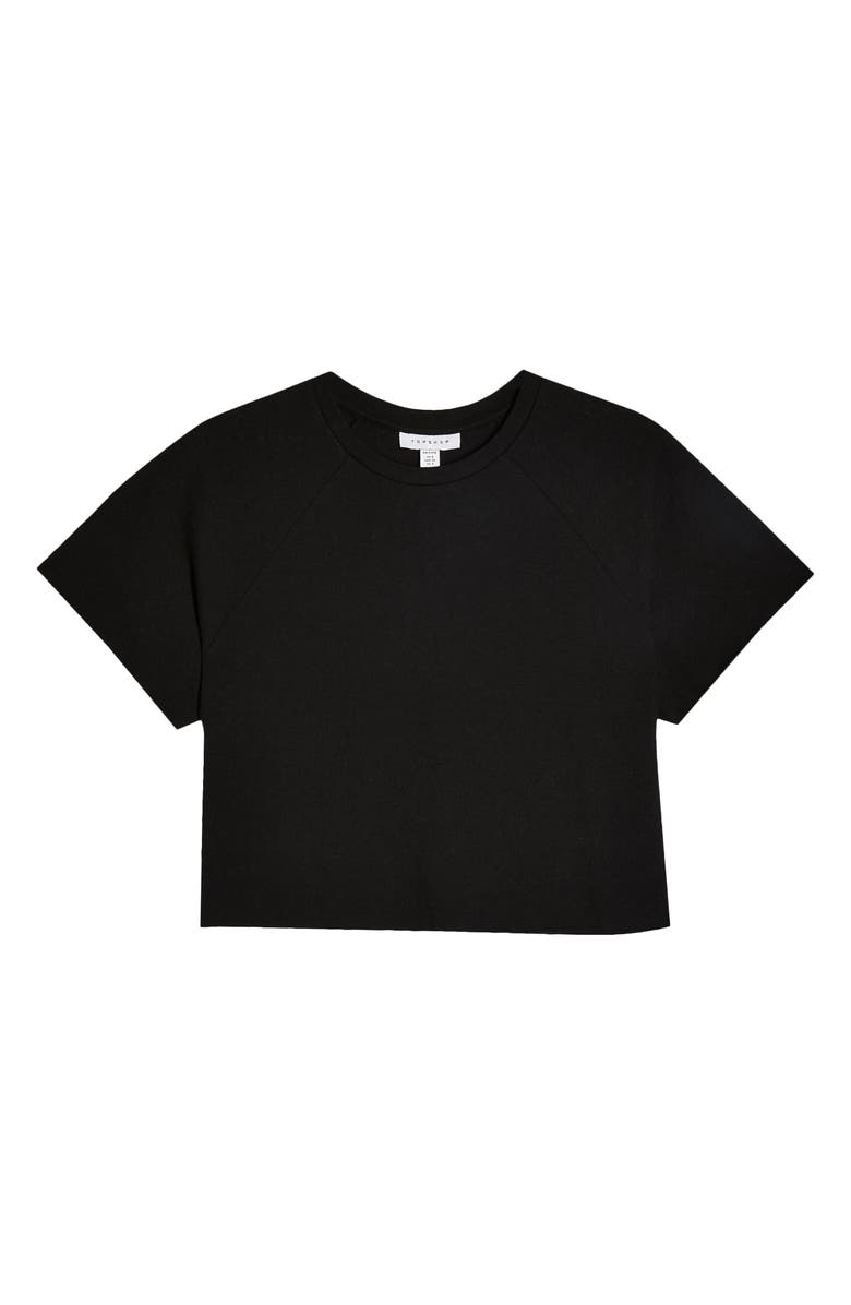 Topshop Raglan Crop T-Shirt, Alternate, color, 