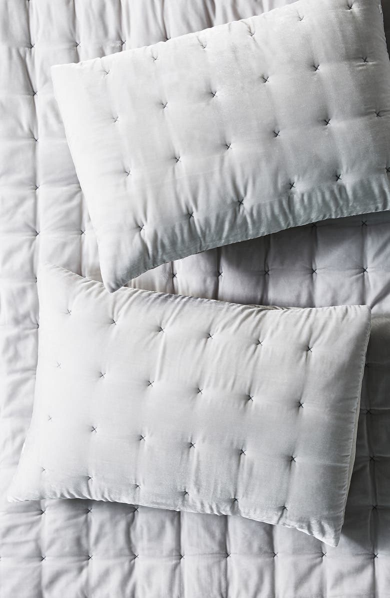 Anthropologie Home Emery Set of 2 Velvet Shams, Main, color, 