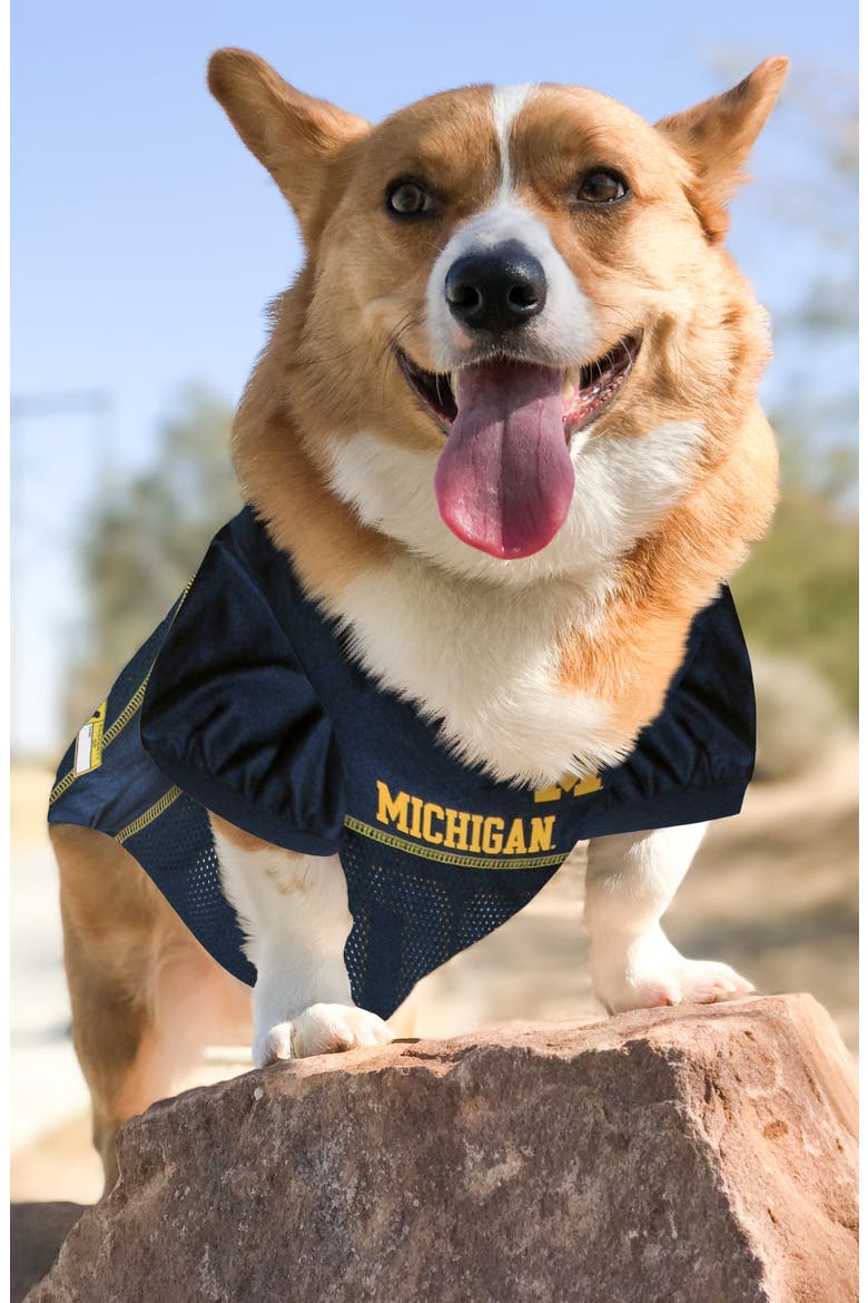 Michigan Mesh Dog Jersey, Alternate, color, BLUE