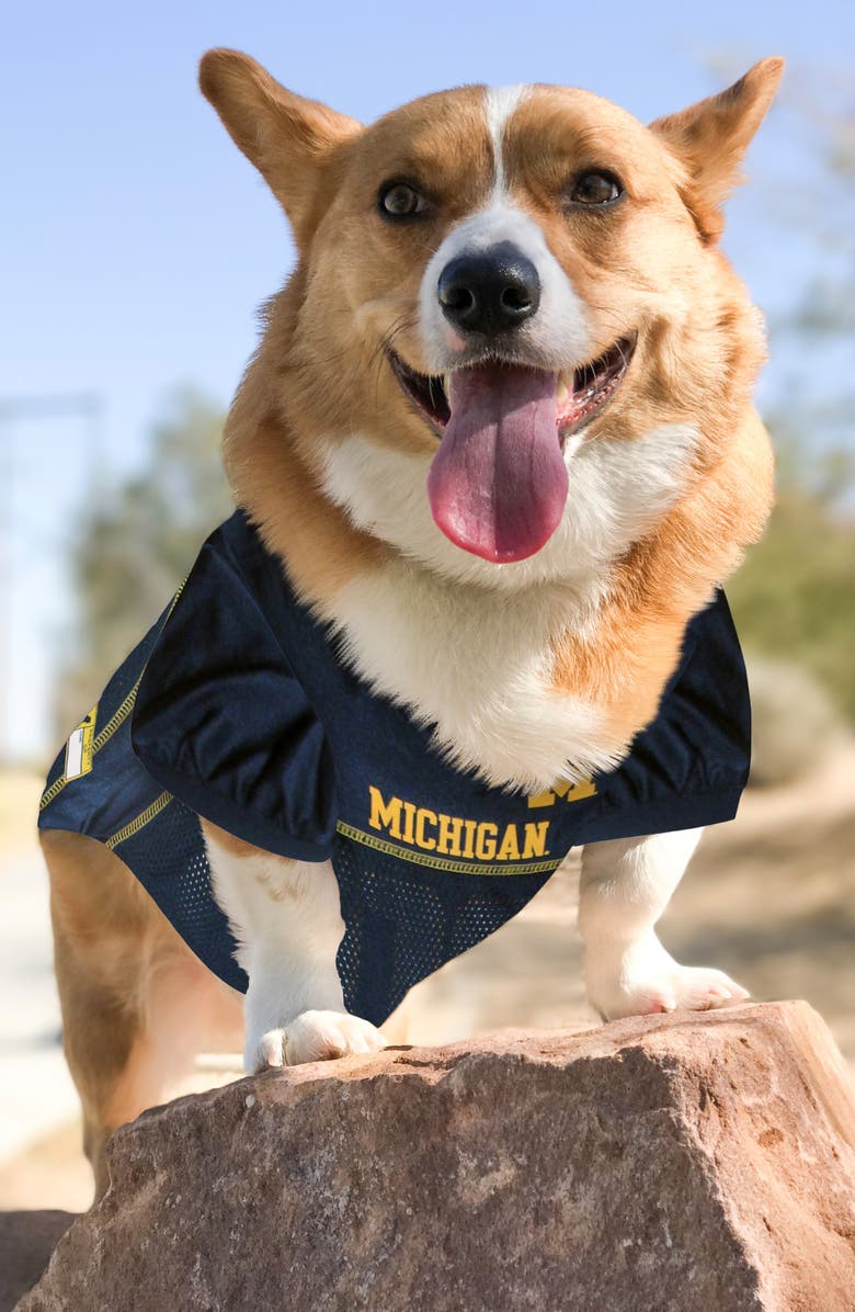 PETS FIRST Michigan Mesh Dog Jersey, Alternate, color, Blue