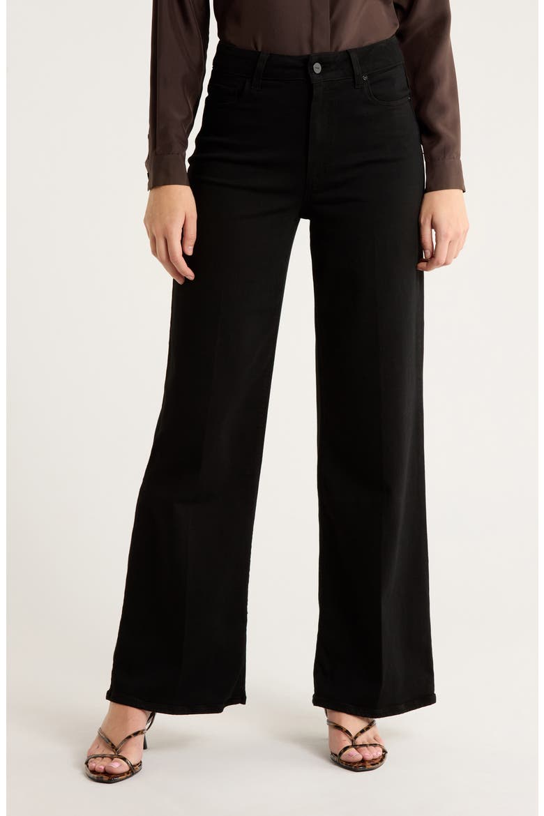 Anessa High Waist Wide Leg Jeans, Main, color, BLACK SHADOW