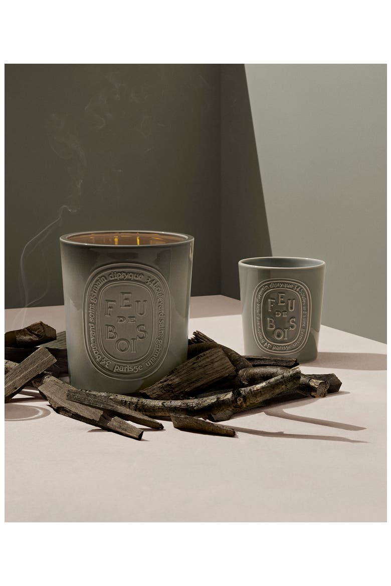 Feu de Bois (Fire Wood) Extralarge Scented Candle, Alternate, color, GREY VESSEL