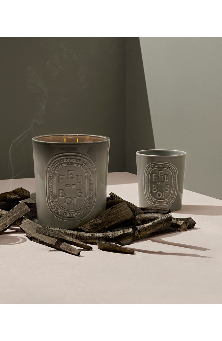 Diptyque Feu de Bois (Fire Wood) Large Scented Candle, Alternate, color, Grey Vessel