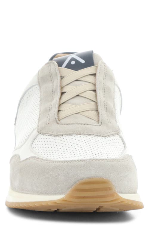 Ambitious 13956 Low Top Sneaker In Gray