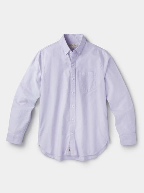 Aubin Aldridge Oxford Button Down Shirt In Purple