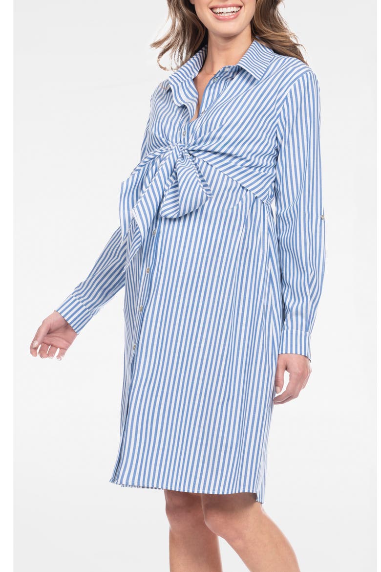 Stripe Long Sleeve Maternity/Nursing Shirtdress, Alternate, color, BLUE STRIPE