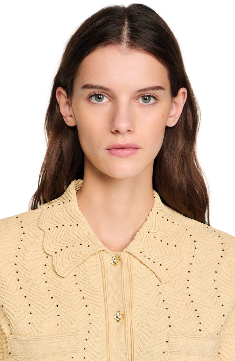 SANDRO Rhinestone cardigan, Alternate, color, Gold