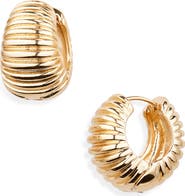 Tasha Rib Huggie Hoop Earrings