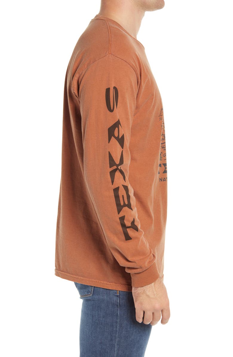 Parks Project National Parks of Texas Long Sleeve Graphic Tee, Alternate, color,