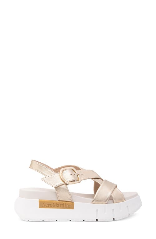 Nerogiardini Slingback Platform Sandal In Gold