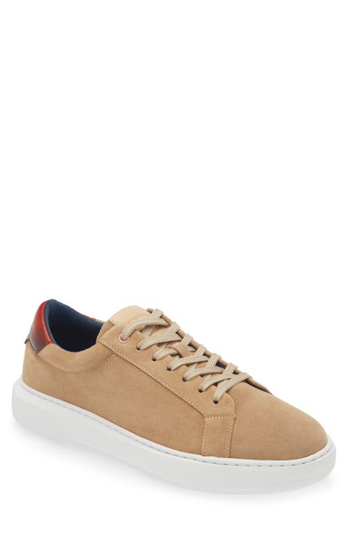 G Brown Puff Suede Low Top Sneaker in Sand  product