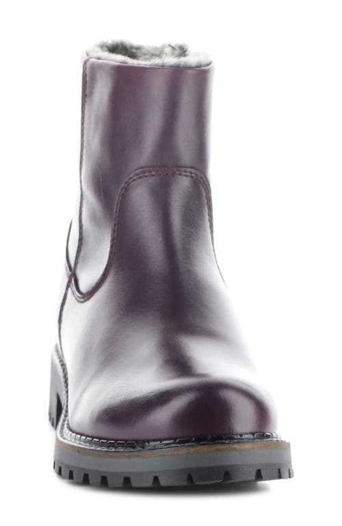 Bos. & Co. Calib Waterproof Bootie In Purple