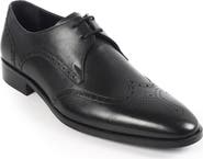 VELLAPAIS Pelican Wingtip Derby