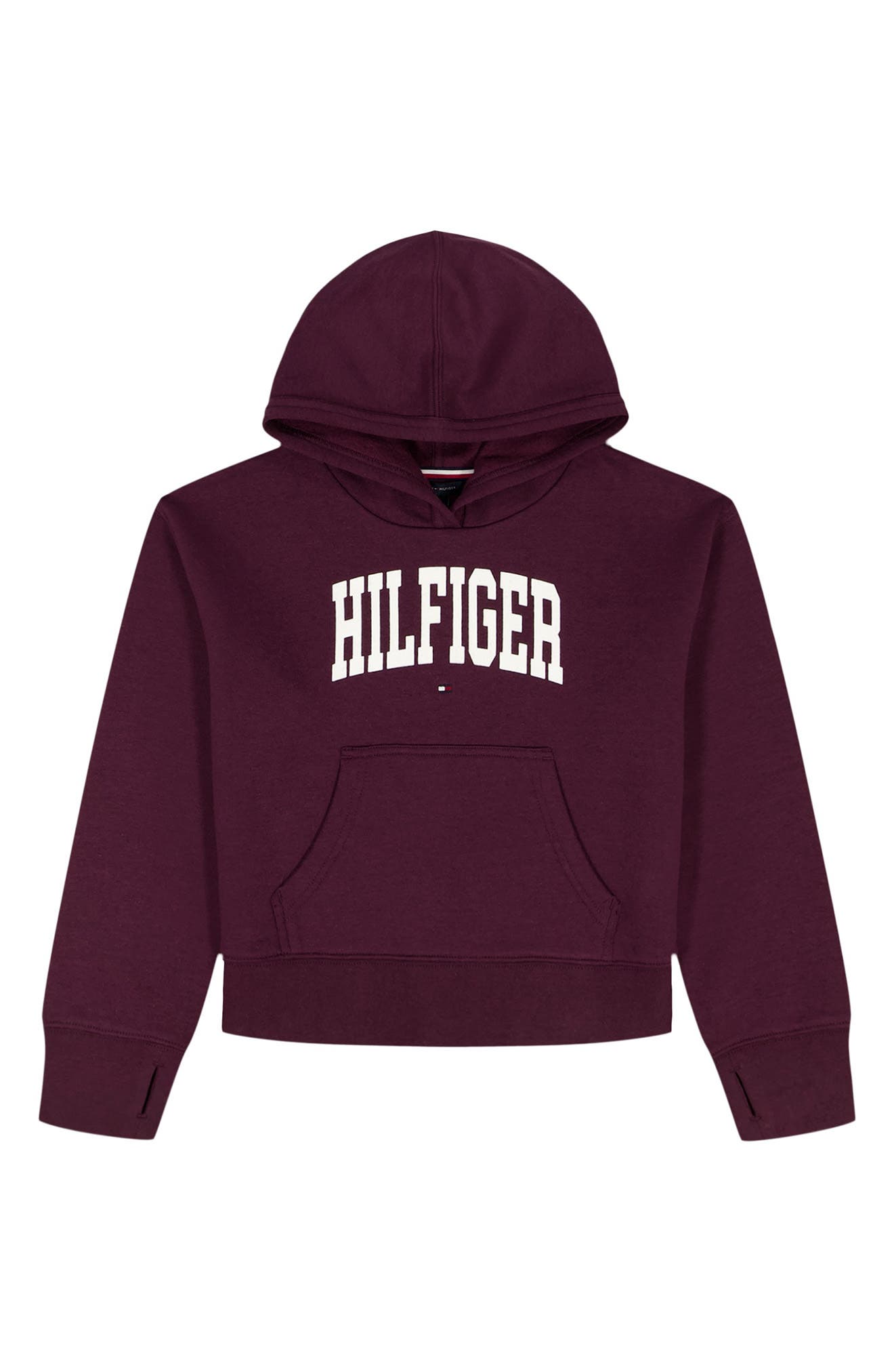 Tommy Hilfiger Kids' Logo Fleece Graphic Hoodie