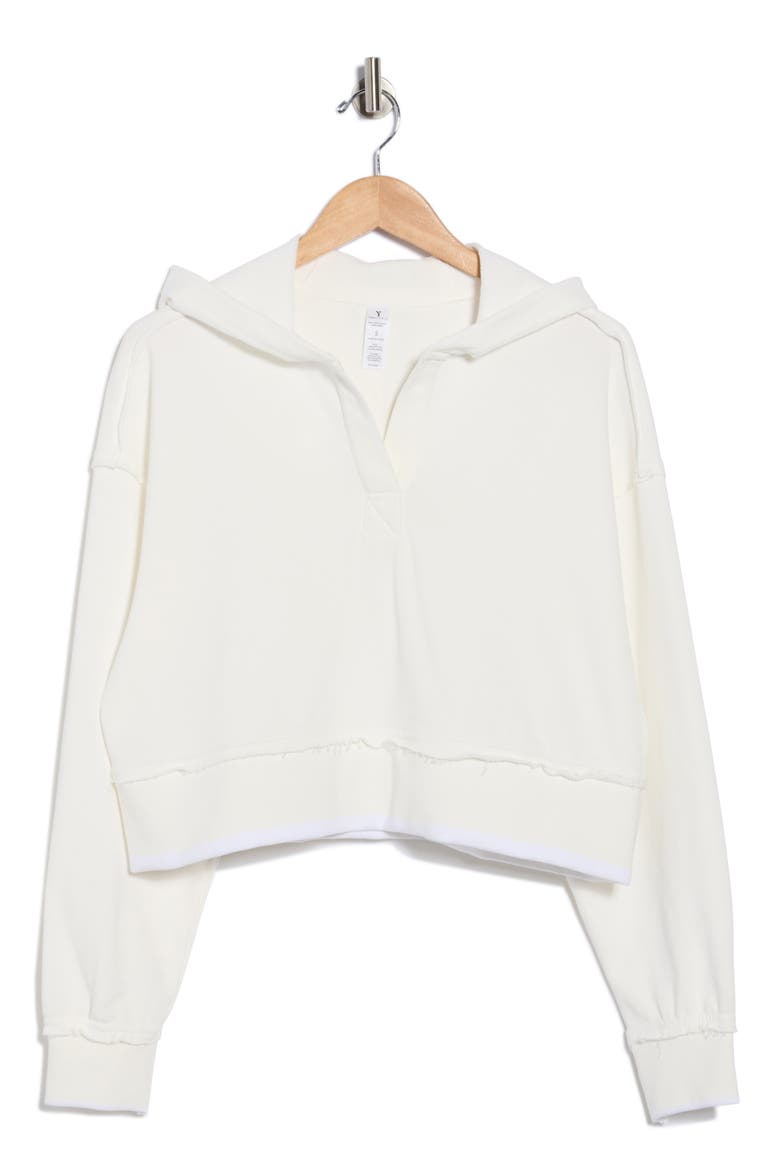 Stonewash Crop Hoodie, Alternate, color, WHITE DOVE