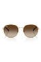  Arista / Brown Gradient