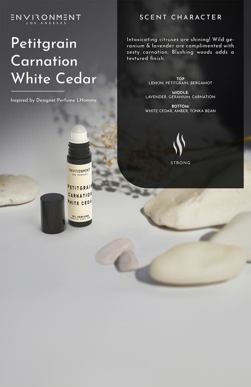 Environment Inspired By Designer Perfume Roll-on Oil Perfume