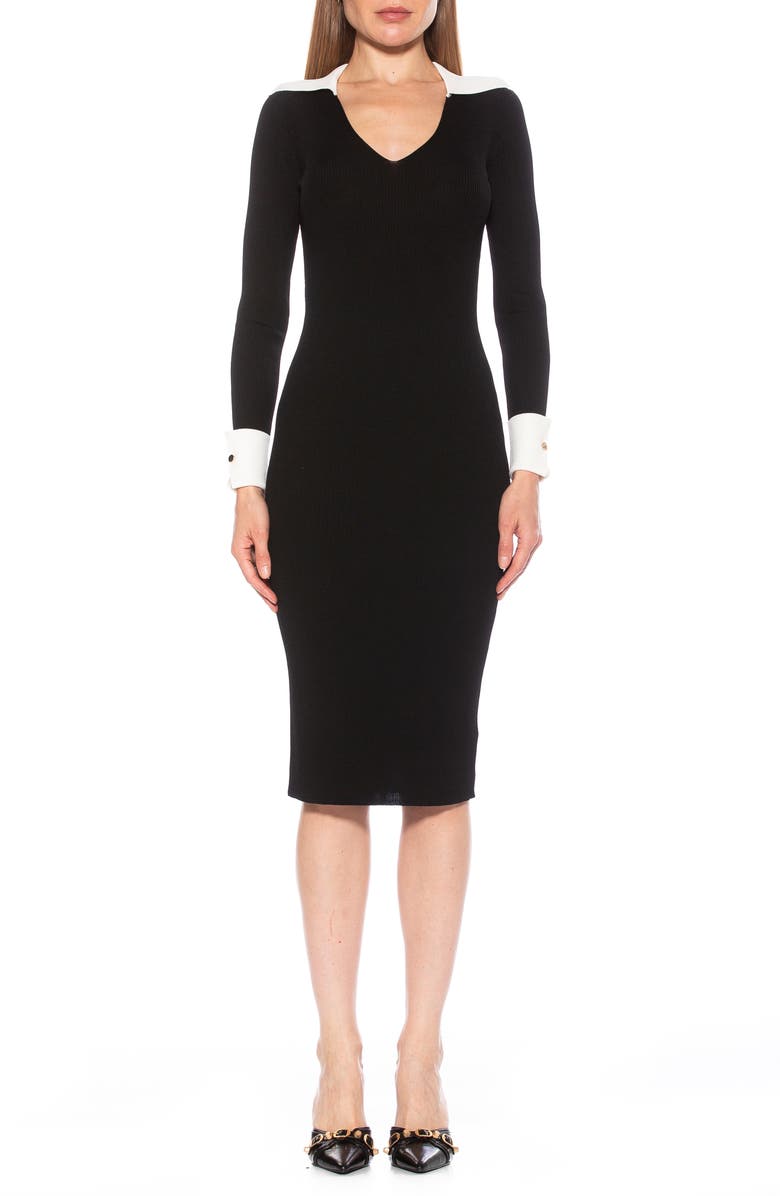 Alexia Admor Tau Collar Rib Long Sleeve Sweater Dress, Main, color, 